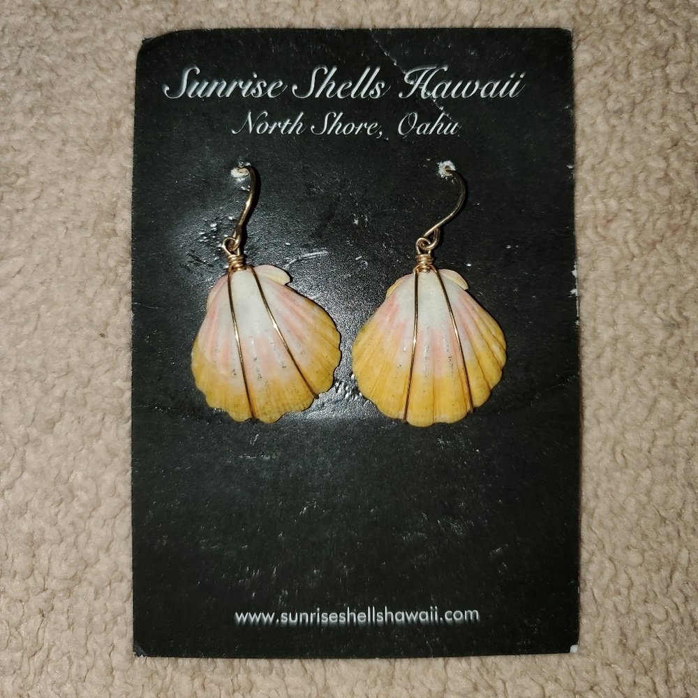 Sea Shell Earrings